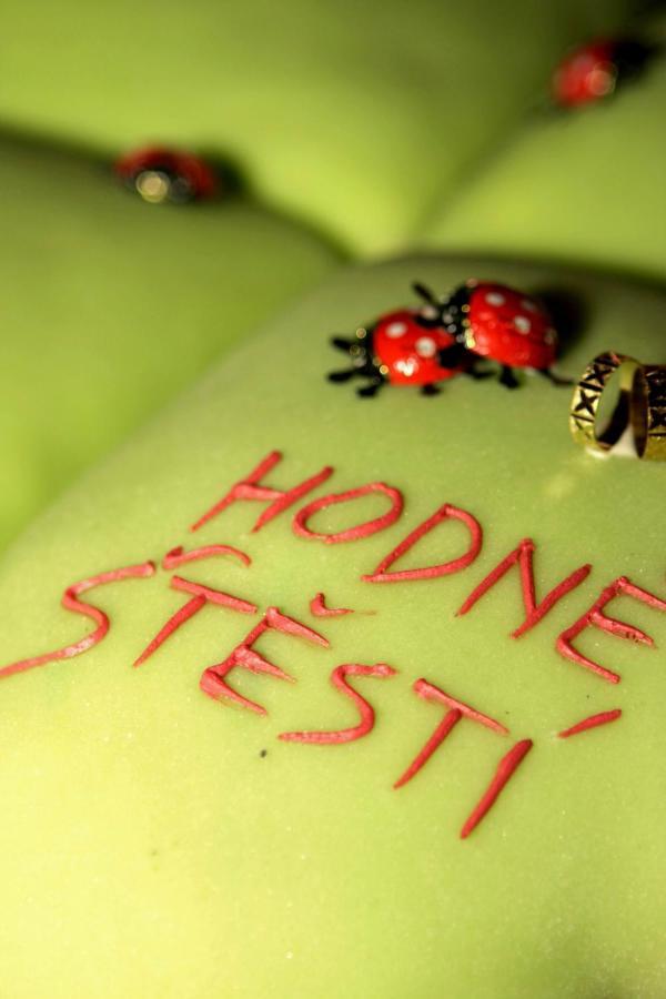 Hotel Ludmila Mělník Esterno foto